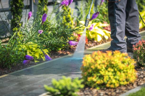 Professional Pressure Washing Services in Brevard, NC